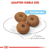 Size Health Nutrition Maxi Starter 4 Kg